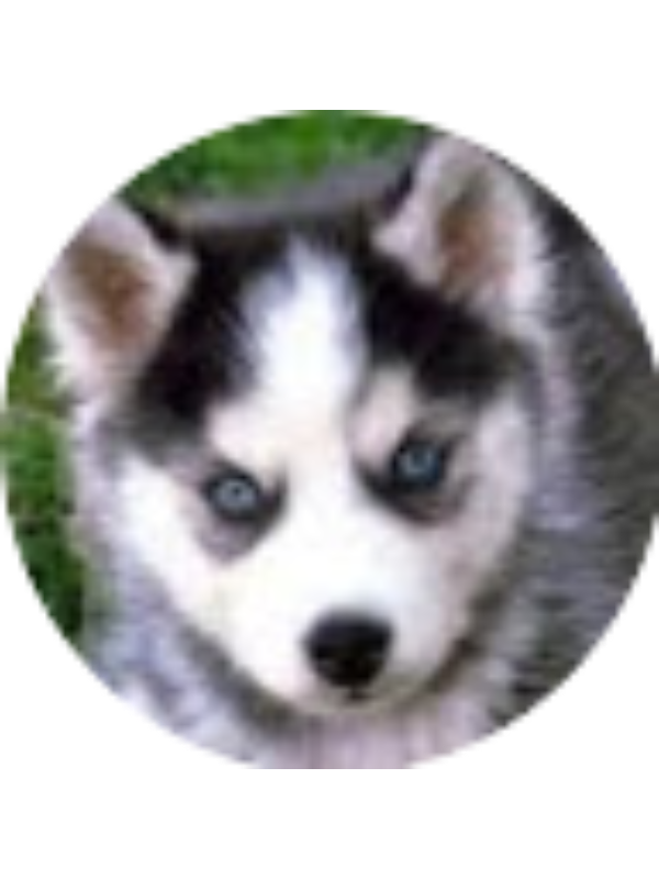 Photo of Paula Gonzalez