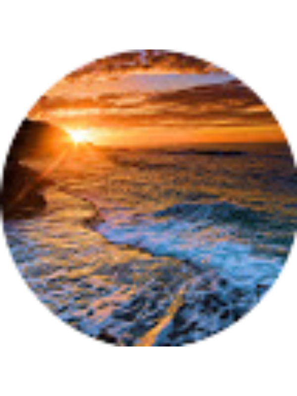 Photo of Jacie Adcock