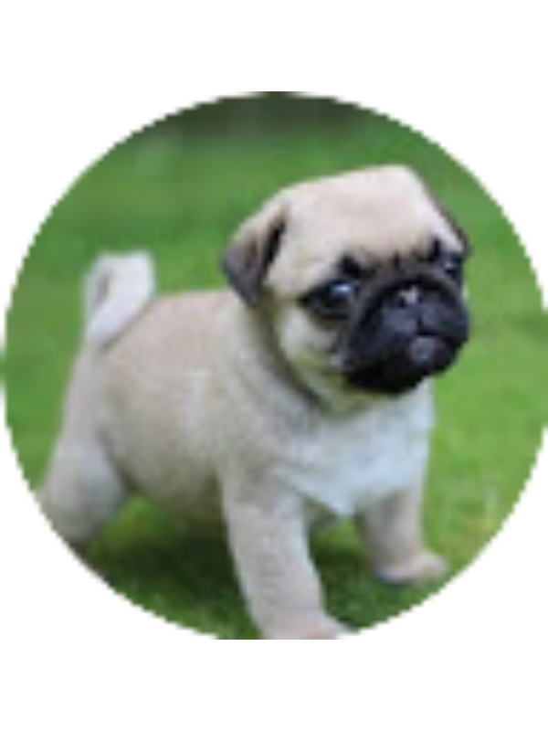 Photo of Eva Kislowski