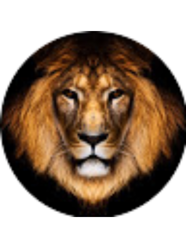 Photo of Sorin Balan