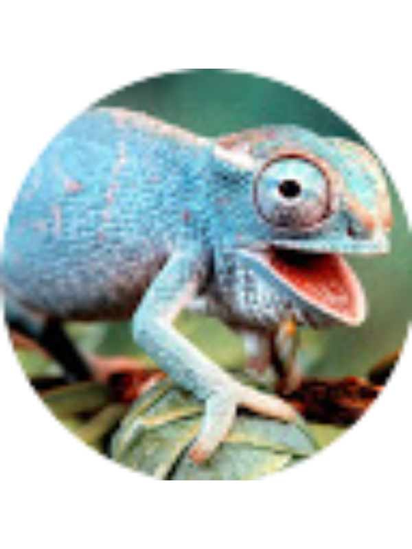 Photo of Tricia Steinbrink