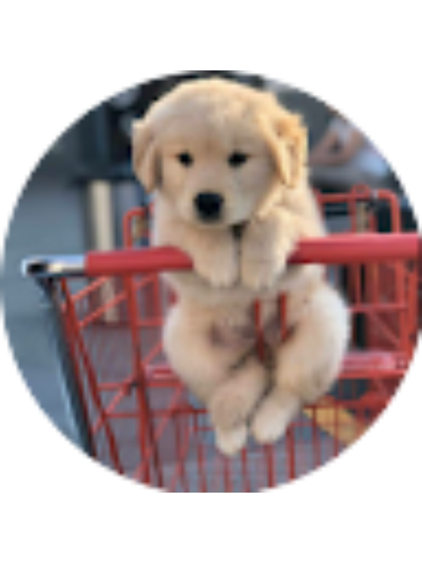 Photo of Eden Widder