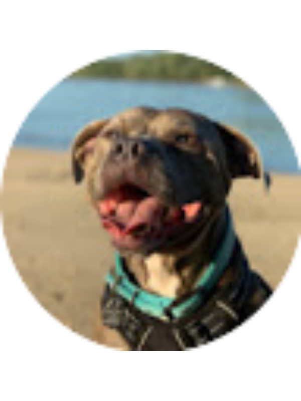 Photo of Adriana Sanzottera