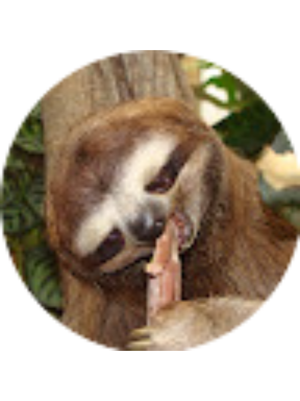 Photo of Khloe Vazquez