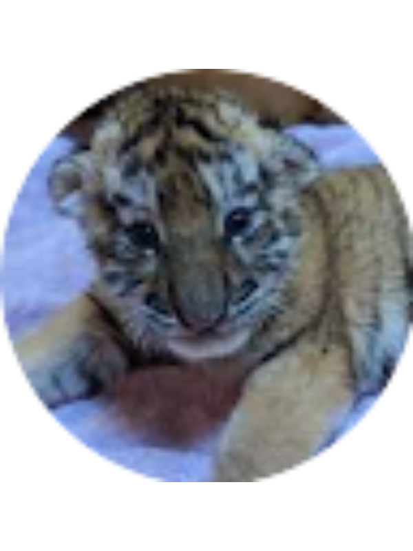 Photo of Molly Durkin