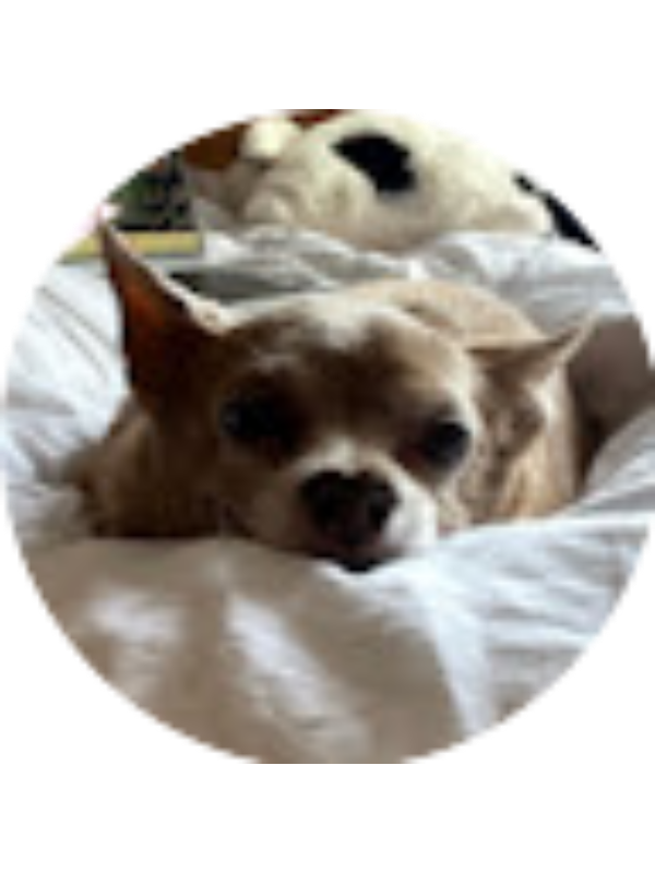 Photo of Portia Mesropov