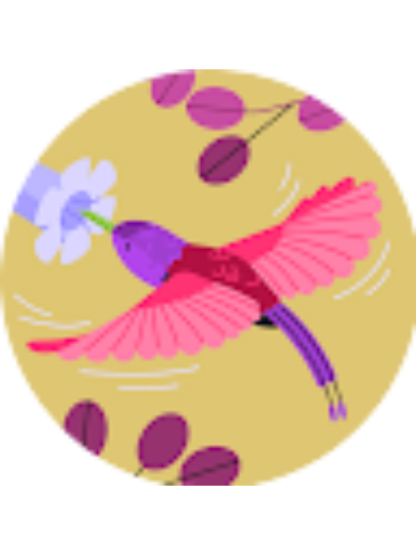 Photo of ravinder10032004