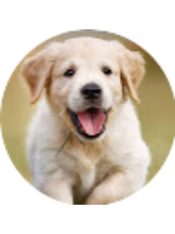 Photo of Stephanie Gonzales