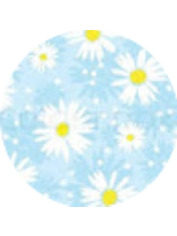 Photo of Lillian D Wilde