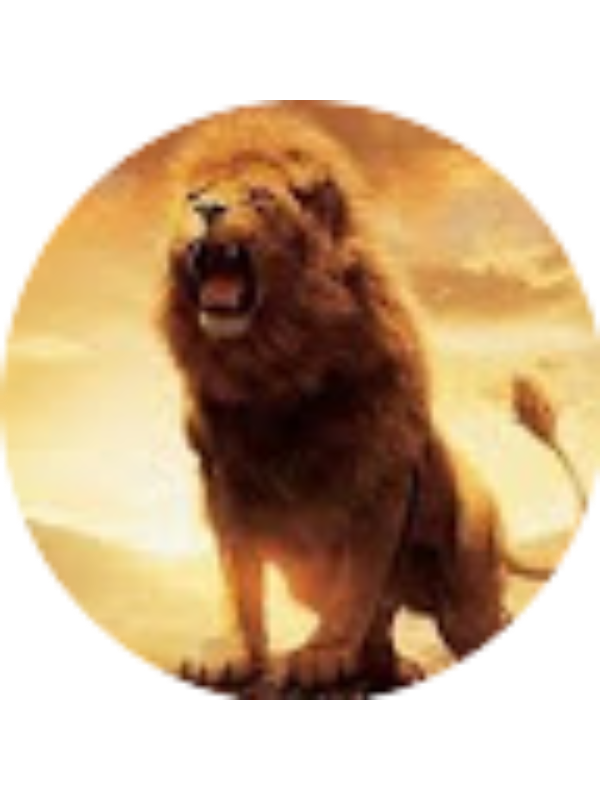 Photo of Asiye Arslan