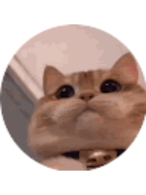 Photo of Ava Scheidig _ Student - ApexFriends