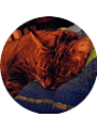 Picture of Emanuelp Cingo