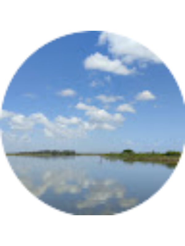 Photo of ΖΩΗ ΜΠΡΑΤΣΟΥ