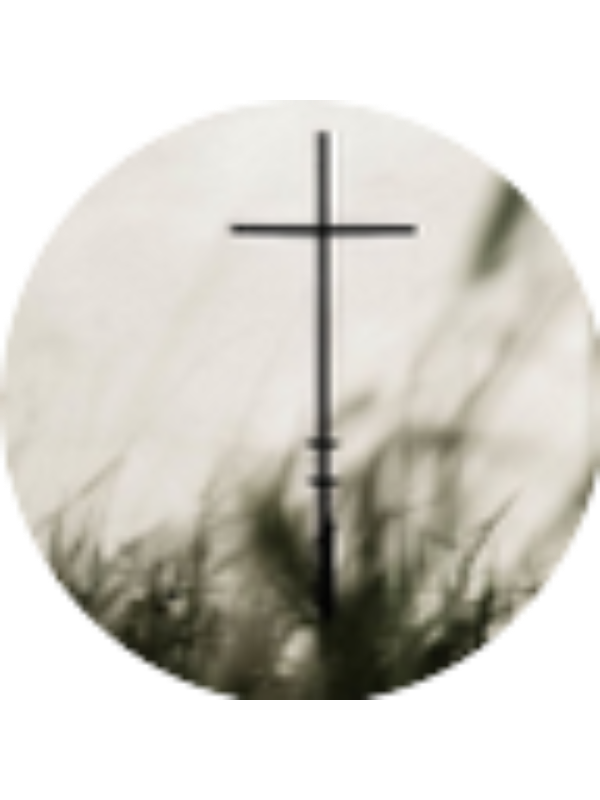 Photo of Juliann Lang