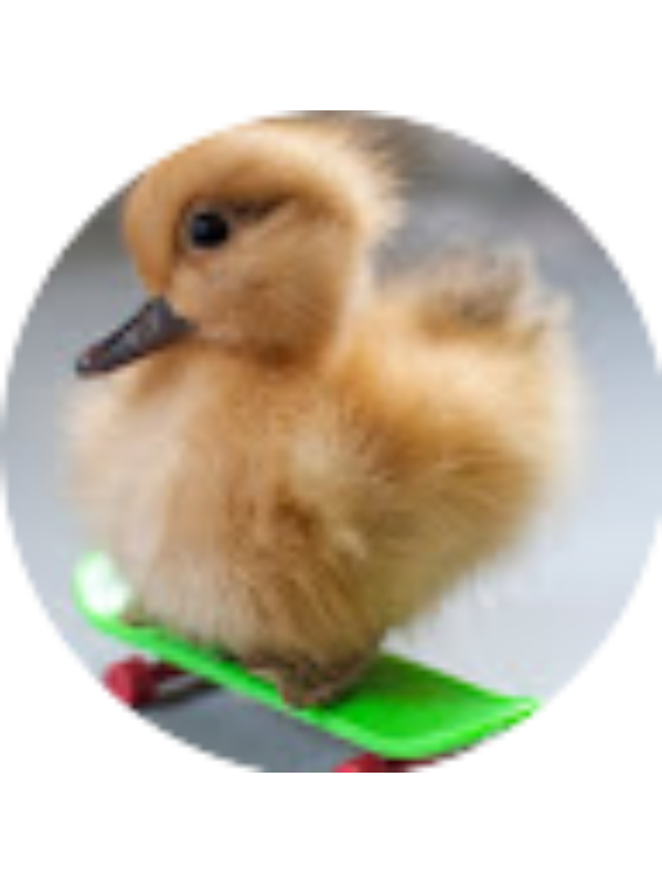 Photo of KAITLYN BALOVICH