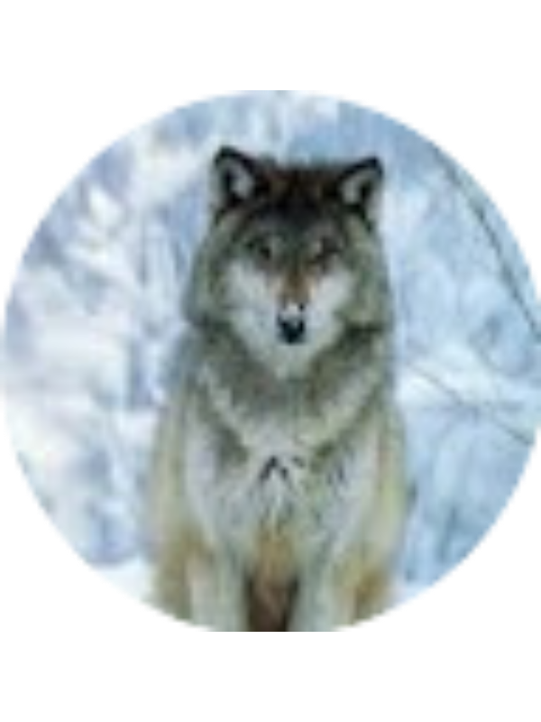 Photo of Matthew Mitchem