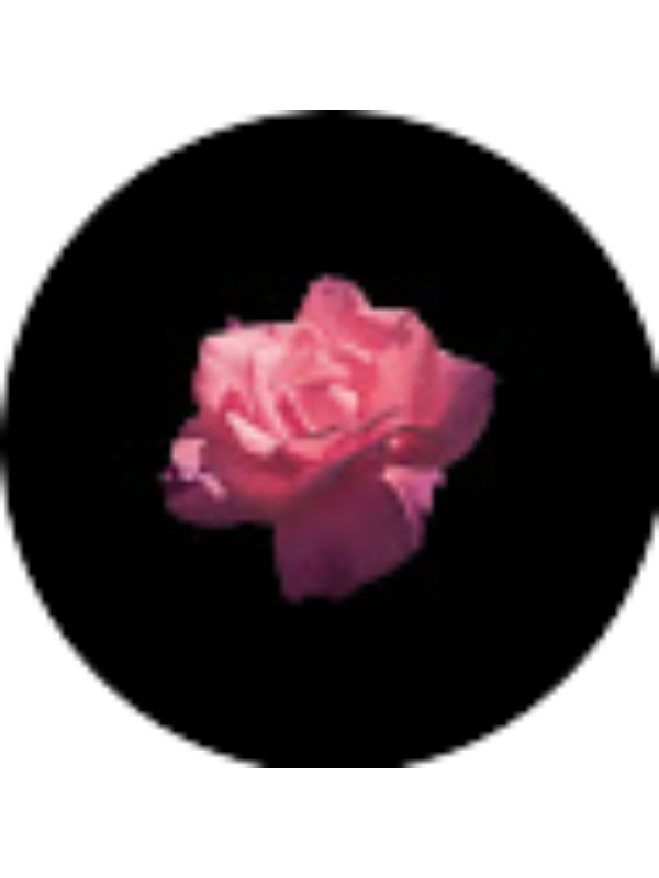 Photo of Эргешбай Дина