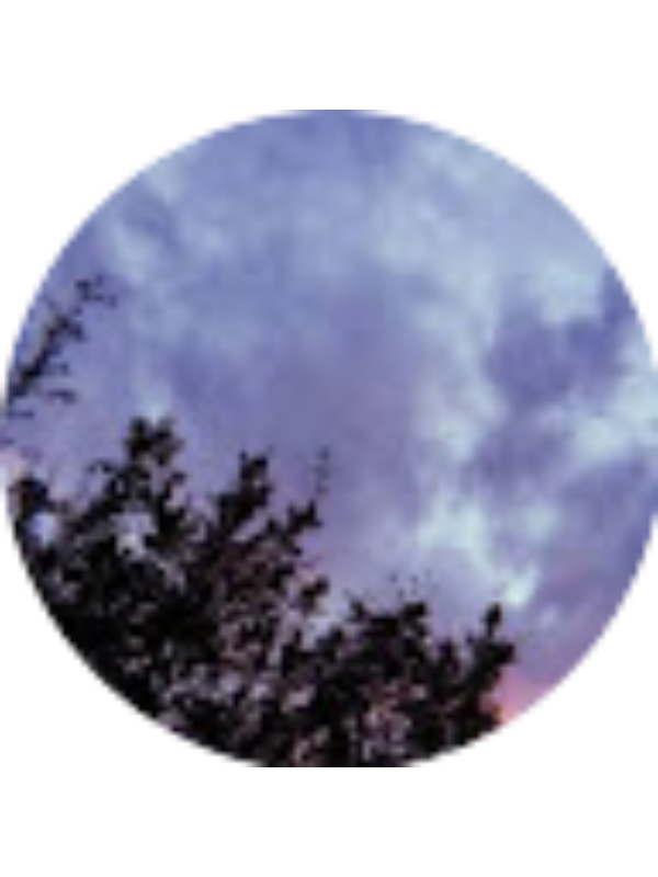 Photo of Ashley Delgado