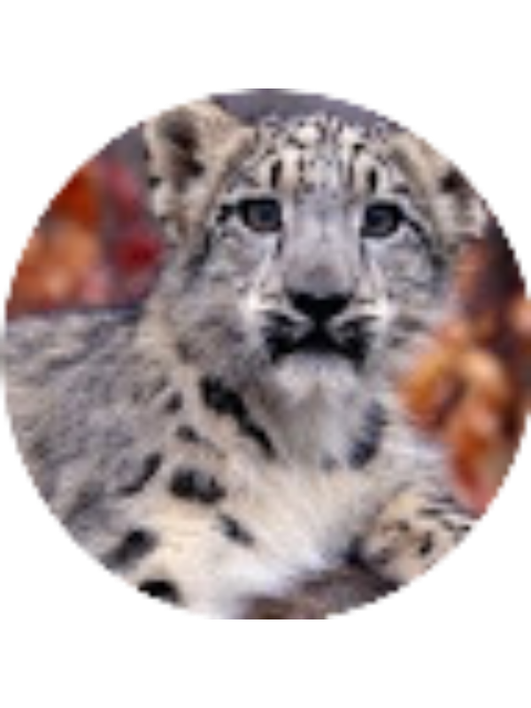 Photo of Emily Nachreiner