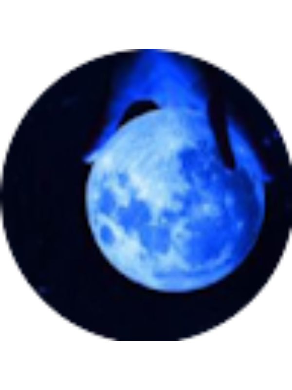 Photo of Adina Mei Reshen