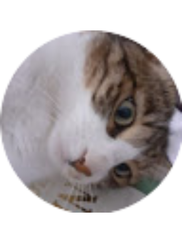 Photo of Bandu Georgeta