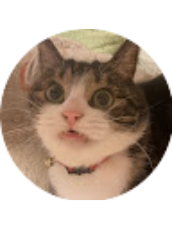 Photo of あずさ 種谷