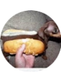 Picture of Carter Micallef