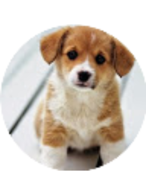 Photo of Mytalia Jordan