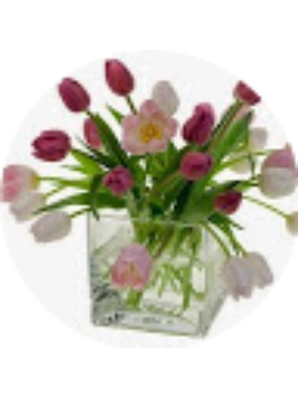 Photo of Aybeniz Memmedli