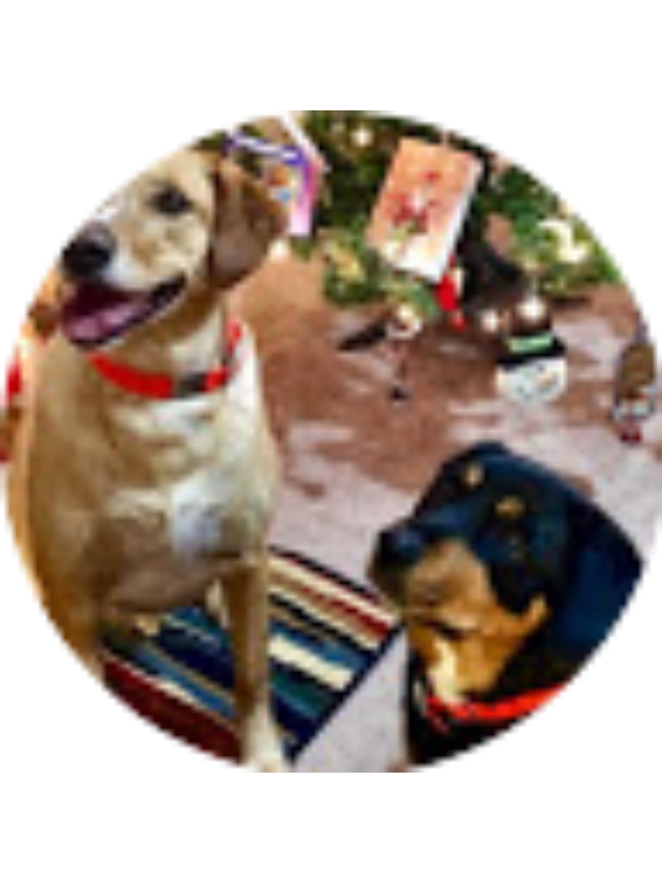 Photo of Brooklynn Podtburg