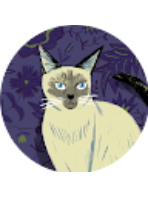 Photo of DANIELA  DORA FLORES VENEGAS