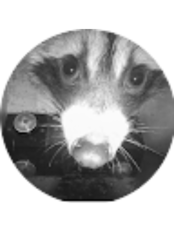 Photo of Samuel Ayala