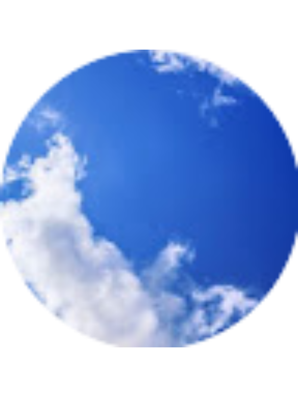 Photo of Elena Figaro