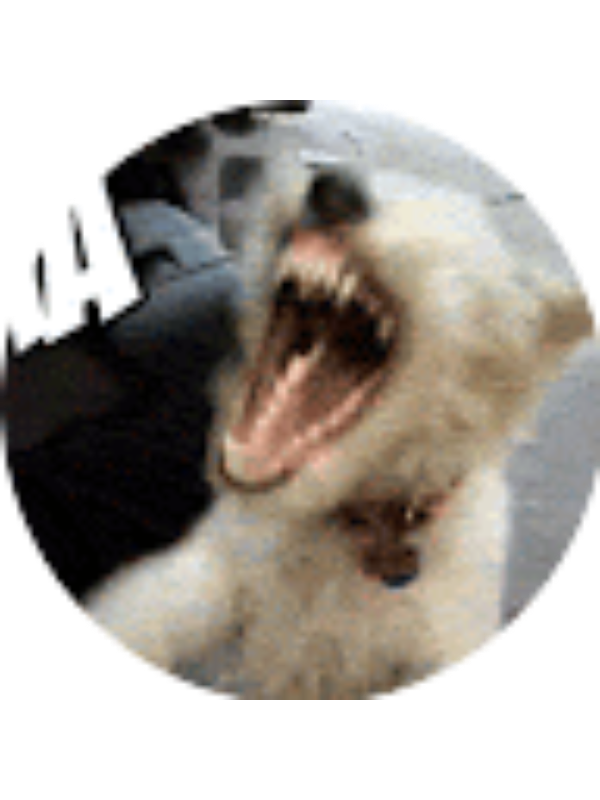 Photo of Mary-fleissner 14722