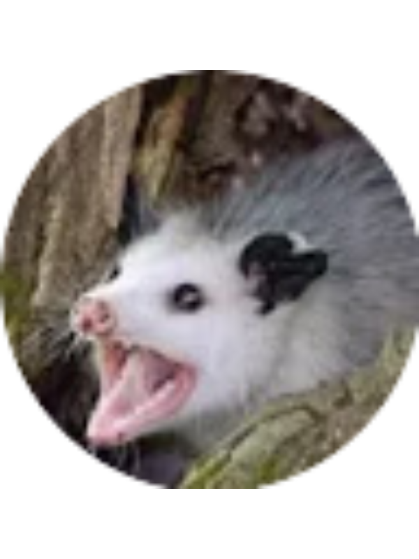 Photo of Logan Delaney