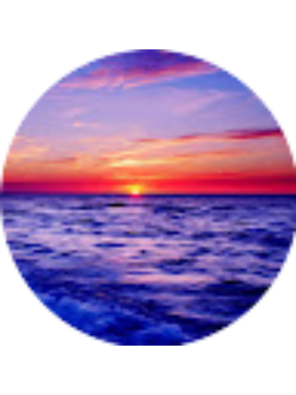 Photo of Svetlana Romanova