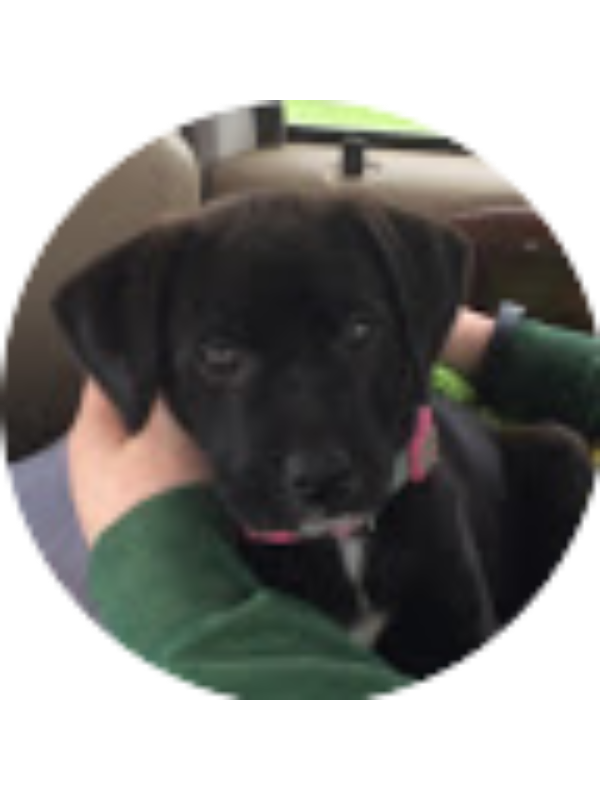 Photo of Michelle Jacobson