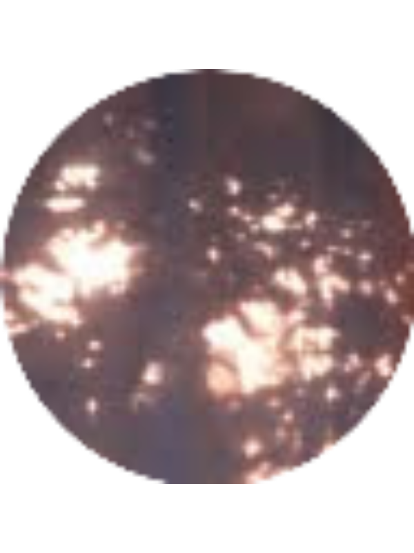 Photo of TrueB1o0d .