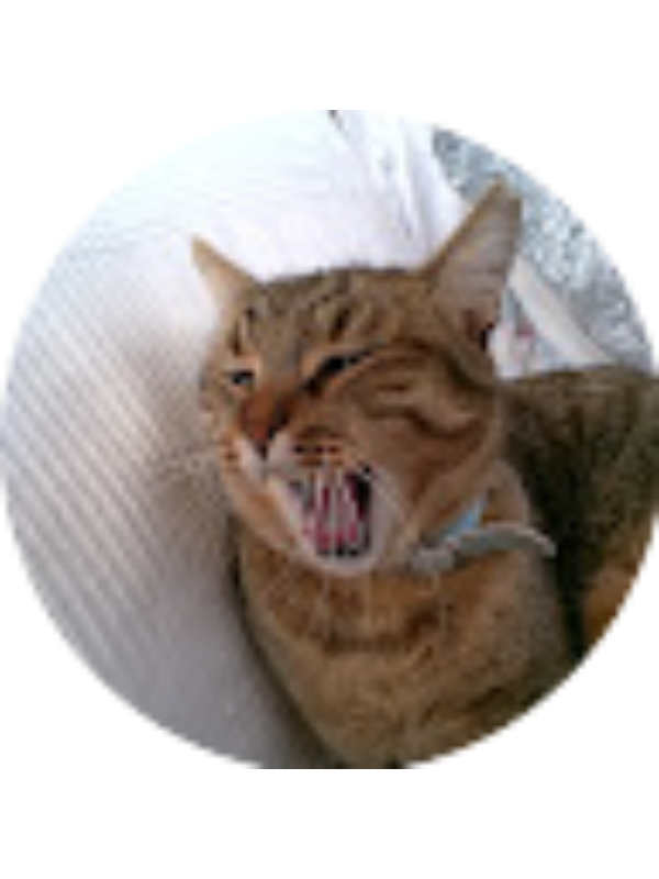 Photo of Noem&iacute; Fiol Siurana