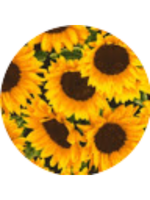 Photo of Madeleine Mann