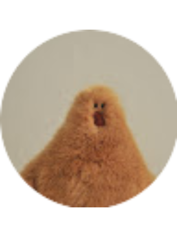 Photo of Afifah Burhanuddin