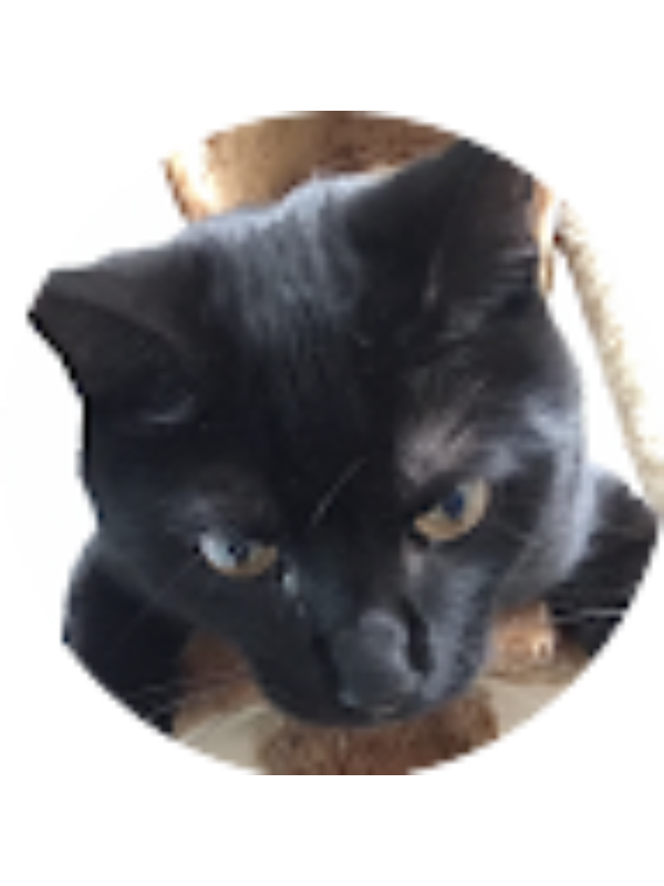 Photo of Haylee Arabia