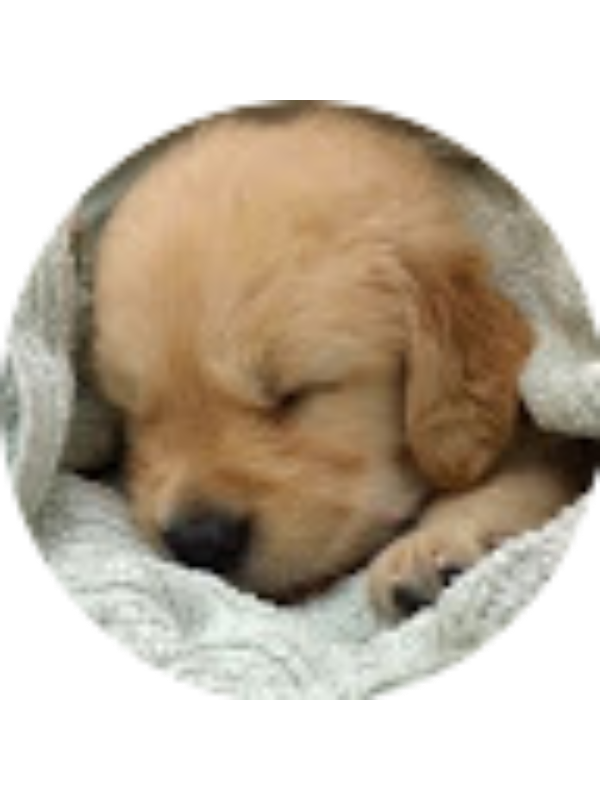 Photo of PHOEBE HICKE