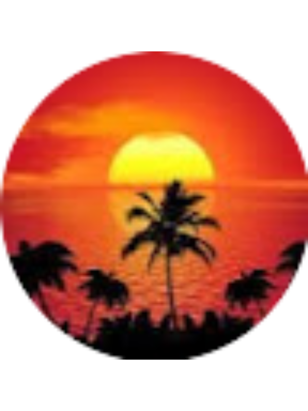 Photo of Liliana Stella