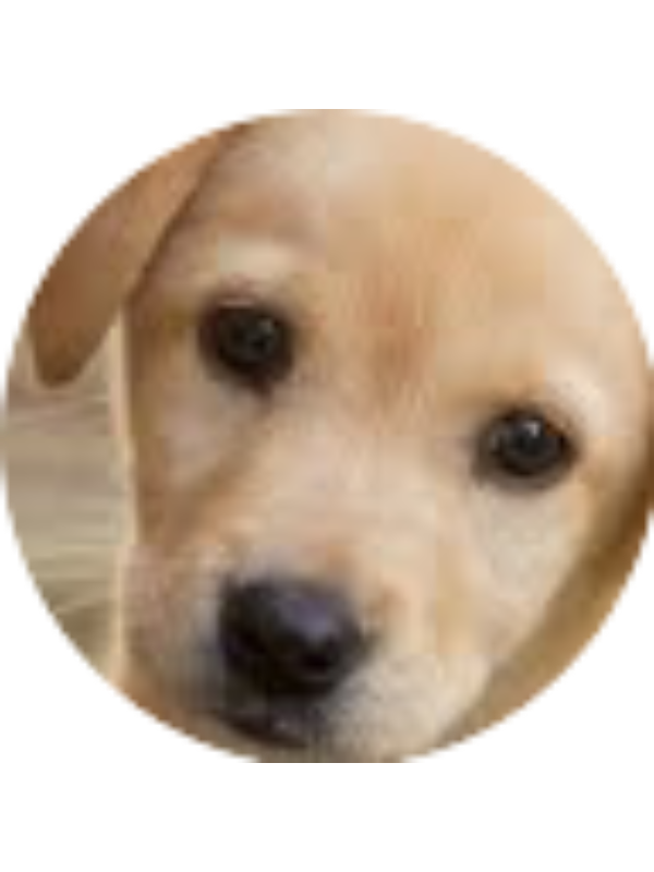 Photo of Daniela Dimas lugo