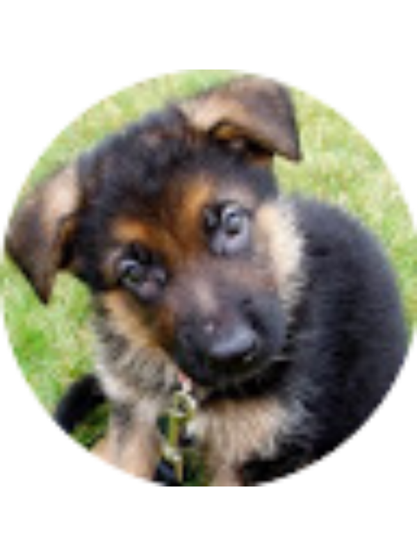 Photo of Catie Chamberlain