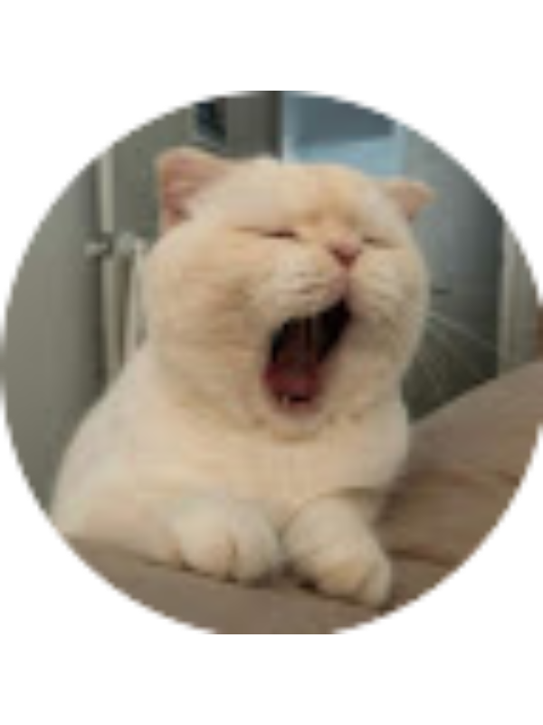 Photo of Selin Demirhan