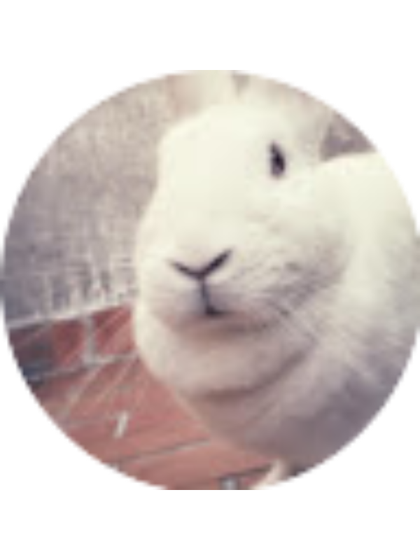 Photo of Daren Kintero