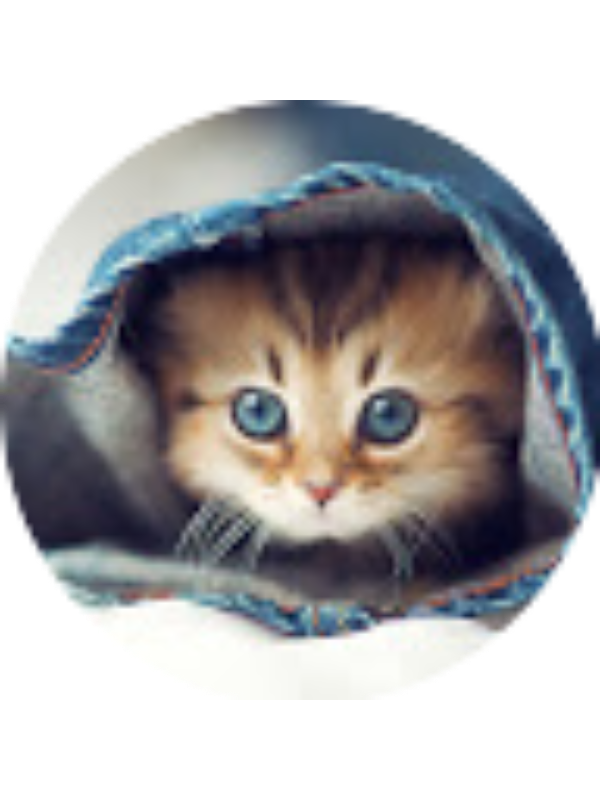 Photo of Naomi Norberg