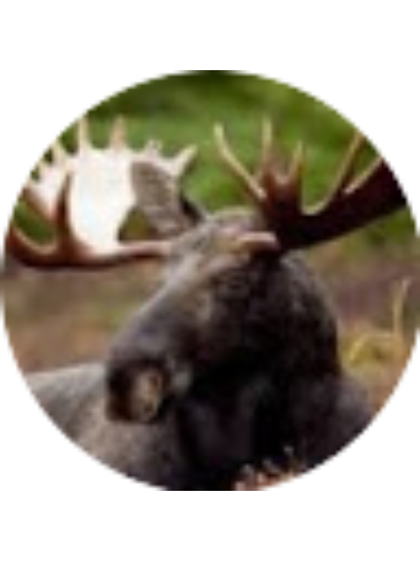 Photo of Kali Knakmuhs